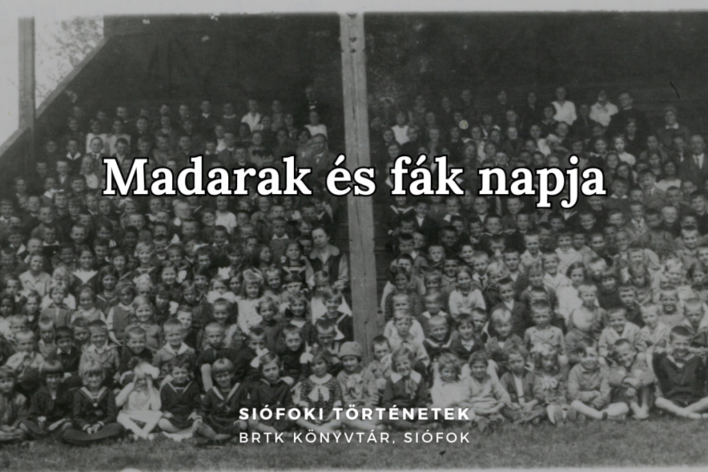 Madarak 02 Banner