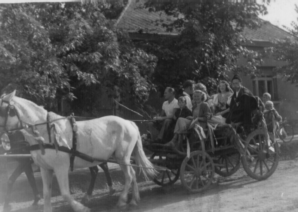 04.gazdakor 1955